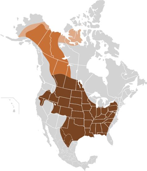 current bison range map.